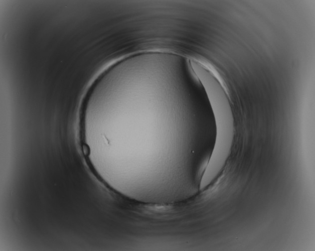 X0000092021147200710041039