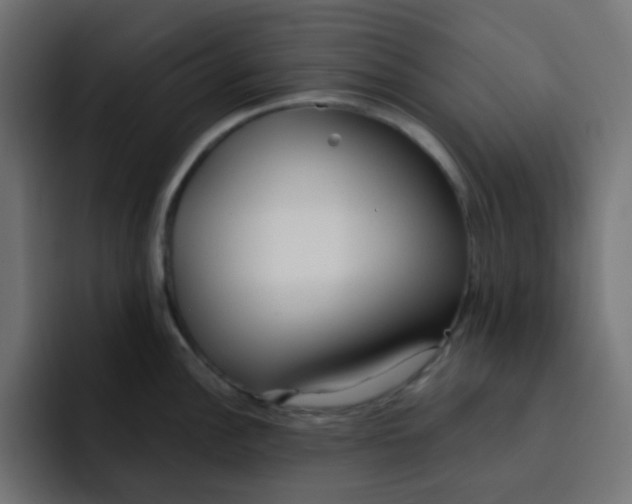 X0000092021148200710041039