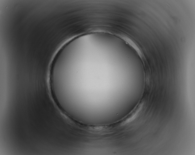 X0000092021149200710041039