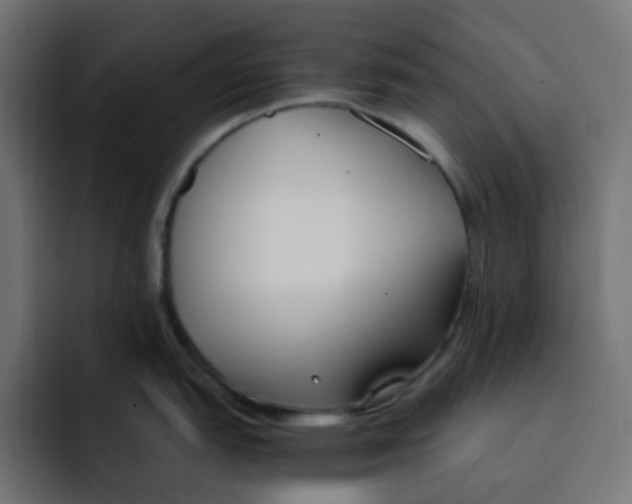 X0000092021151200710041039