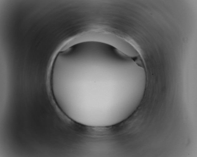 X0000092021152200710041039