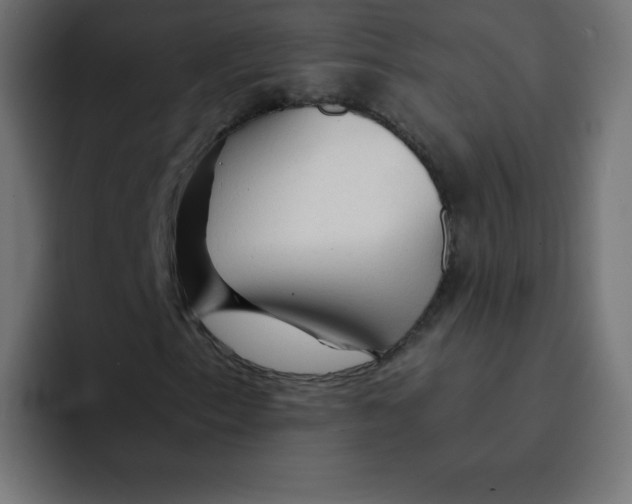 X0000092021153200710041038