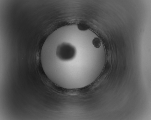 X0000092021154200710041038