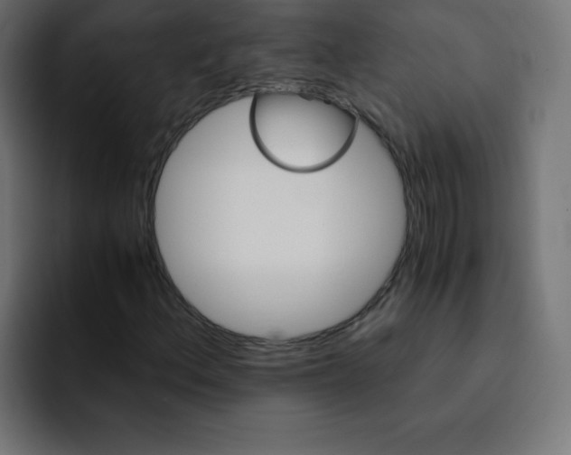 X0000092021156200710041038