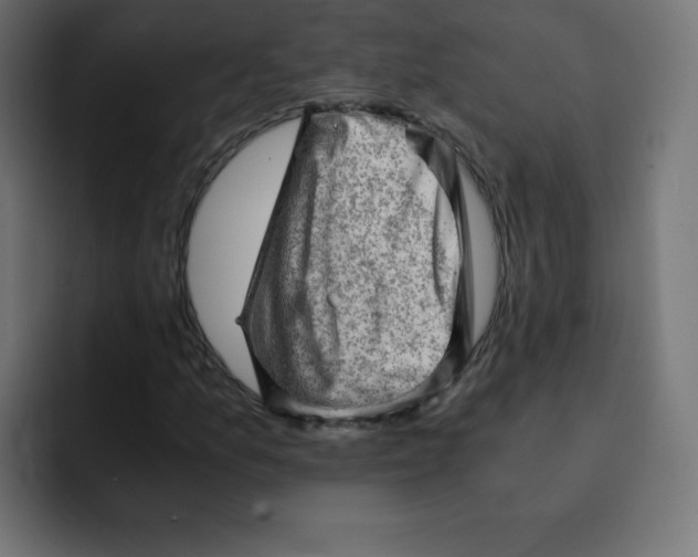 X0000092021157200710041038