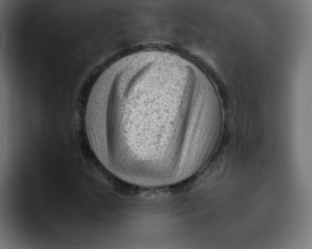 X0000092021159200710041038