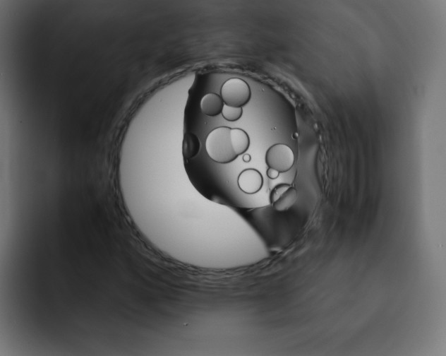 X0000092021160200710041038