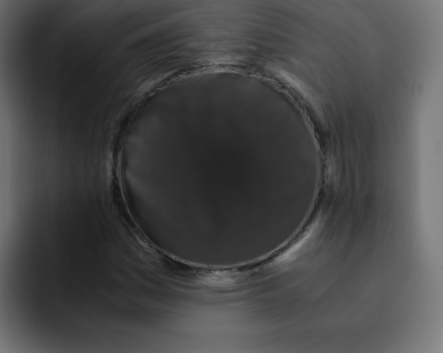 X0000092021161200710041038