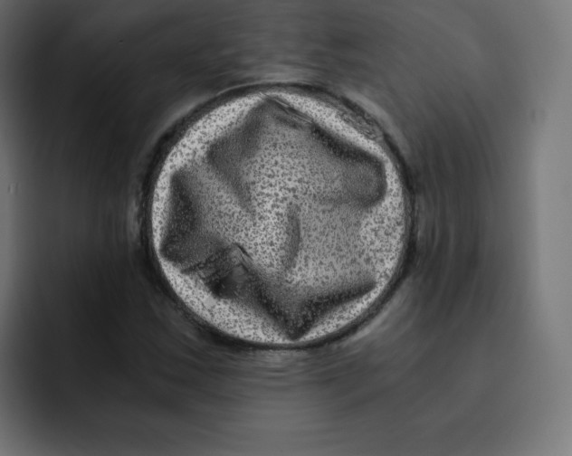 X0000092021163200710041038