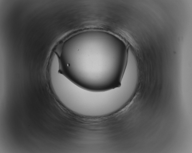 X0000092021164200710041038