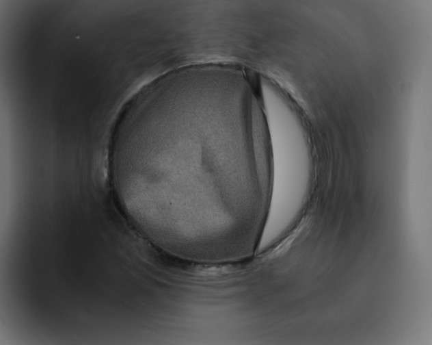 X0000092021165200710041038