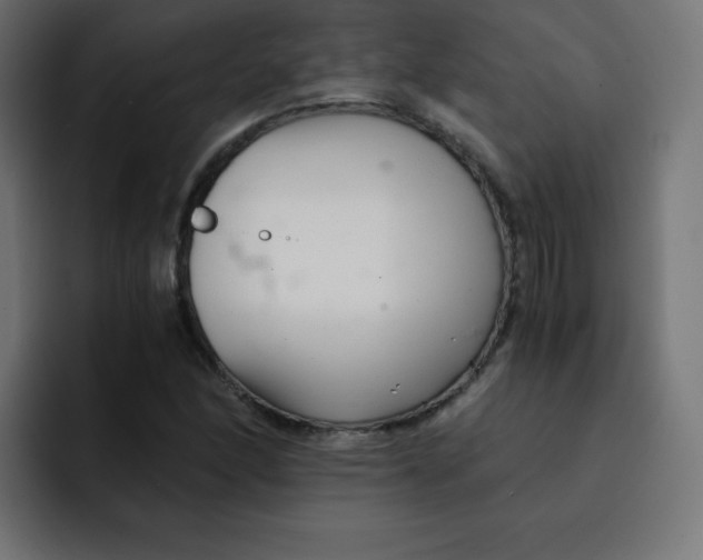 X0000092021166200710041038