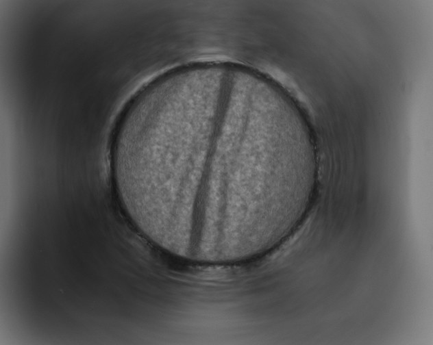 X0000092021167200710041038