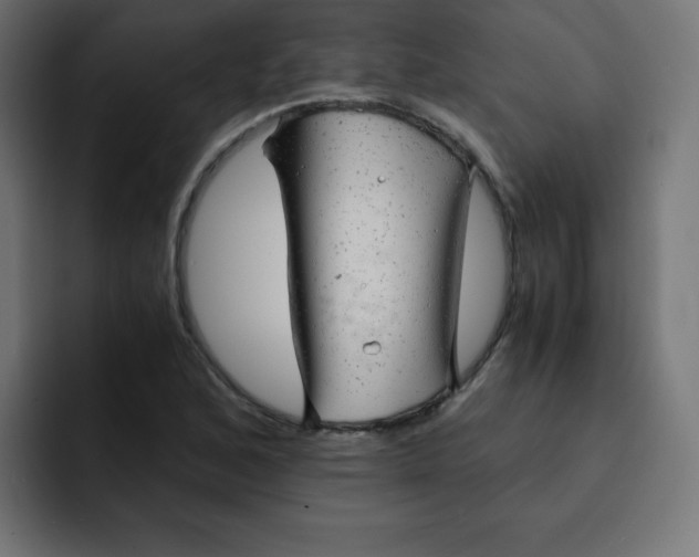 X0000092021168200710041038