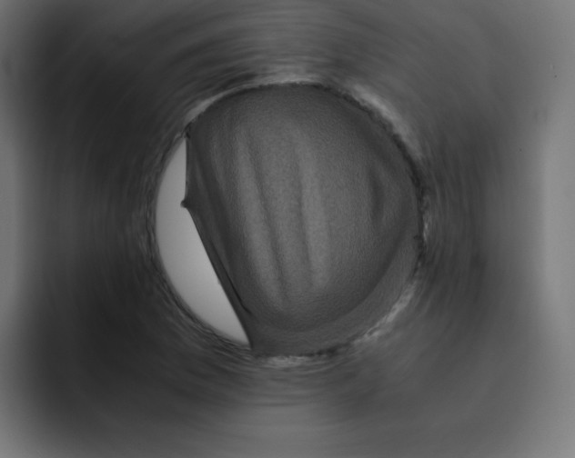 X0000092021169200710041038