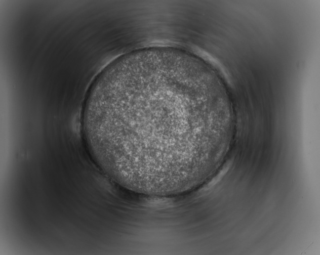 X0000092021170200710041038