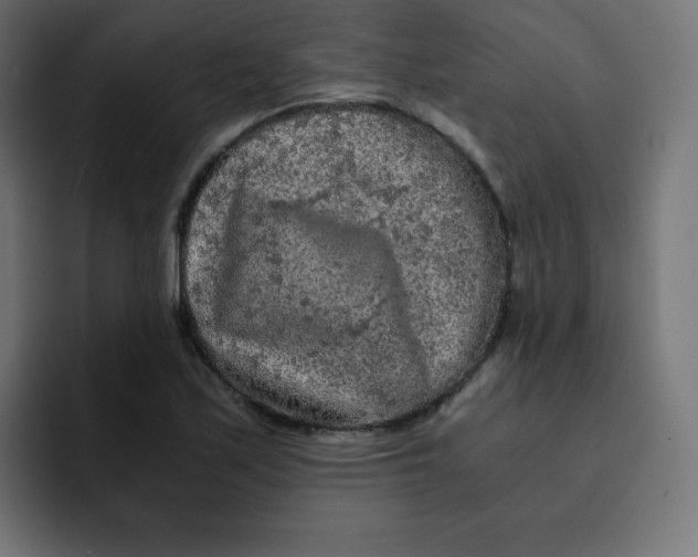 X0000092021171200710041038