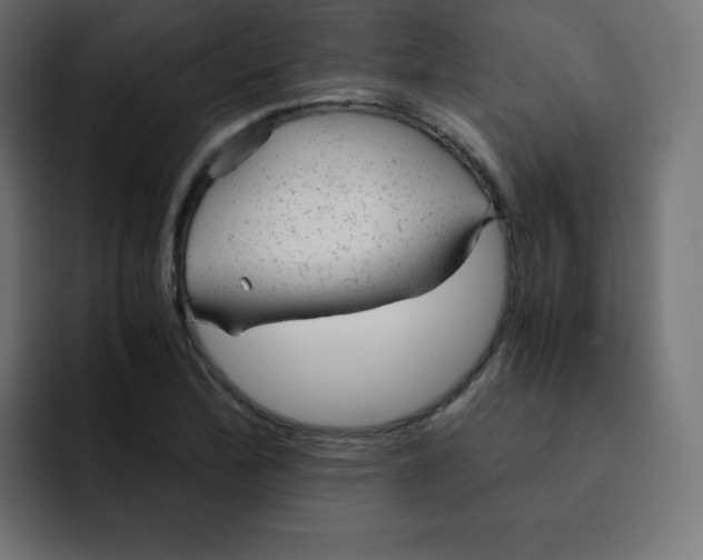 X0000092021172200710041038