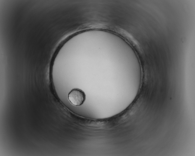 X0000092021174200710041038