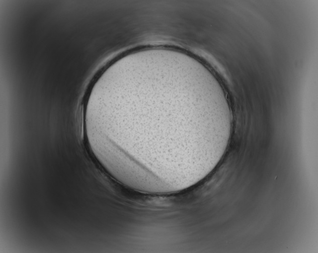 X0000092021175200710041038