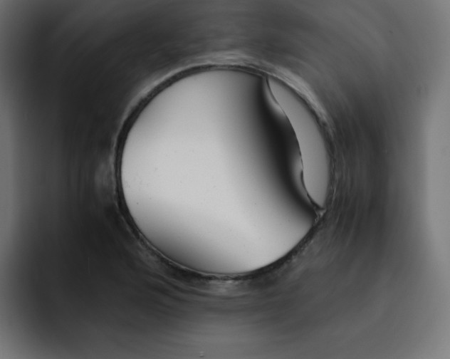 X0000092021176200710041038