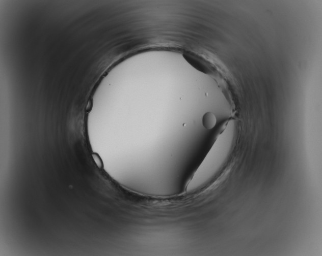 X0000092021177200710041038