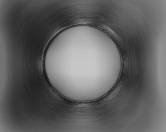 X0000092021178200710041038