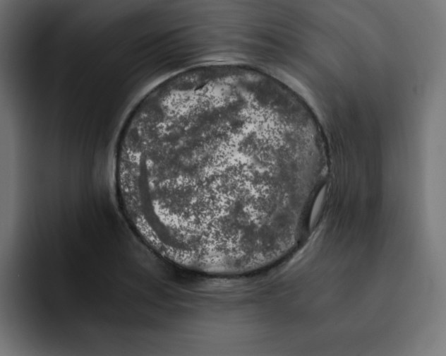 X0000092021179200710041038