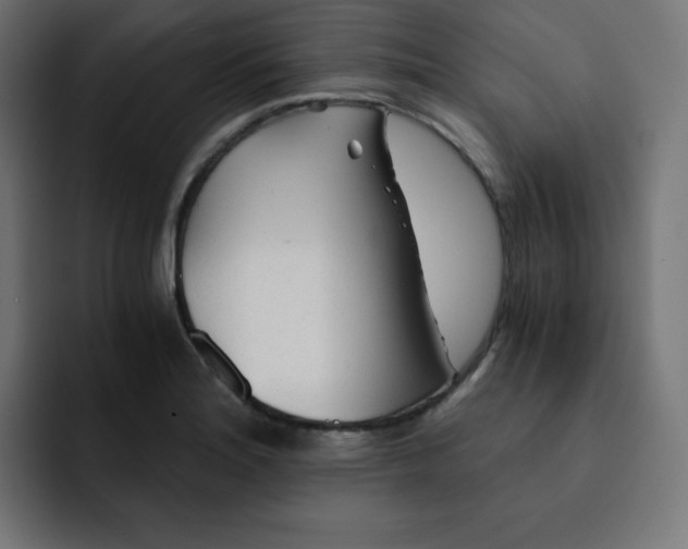 X0000092021180200710041038