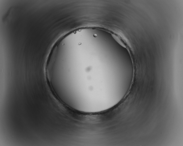 X0000092021181200710041038