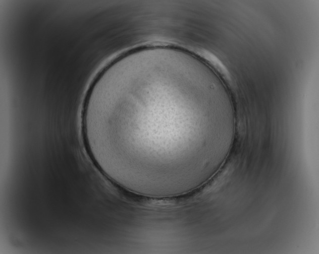 X0000092021183200710041038