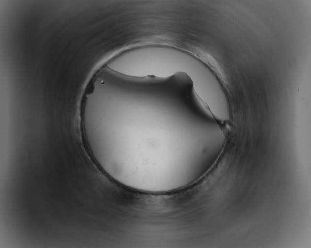 X0000092021184200710041038