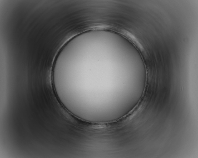 X0000092021186200710041038