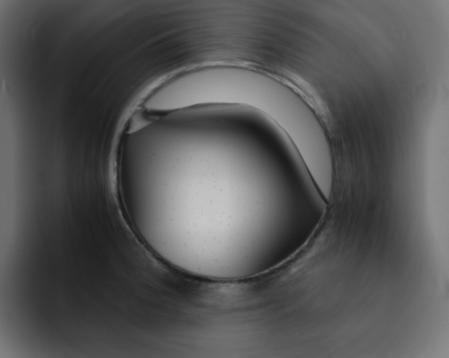 X0000092021188200710041038