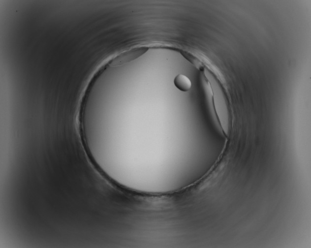 X0000092021189200710041038