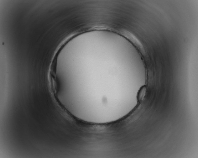 X0000092021190200710041038