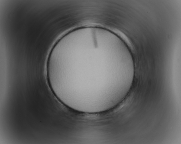 X0000092021191200710041038