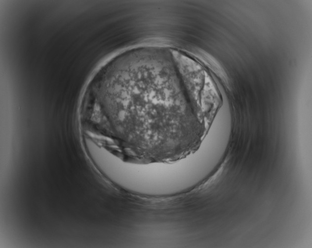 X0000092021192200710041038