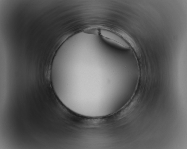 X0000092021193200710041038