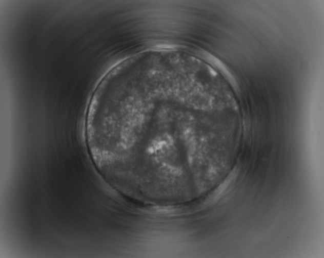 X0000092021194200710041038