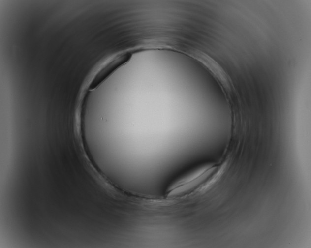 X0000092021196200710041038