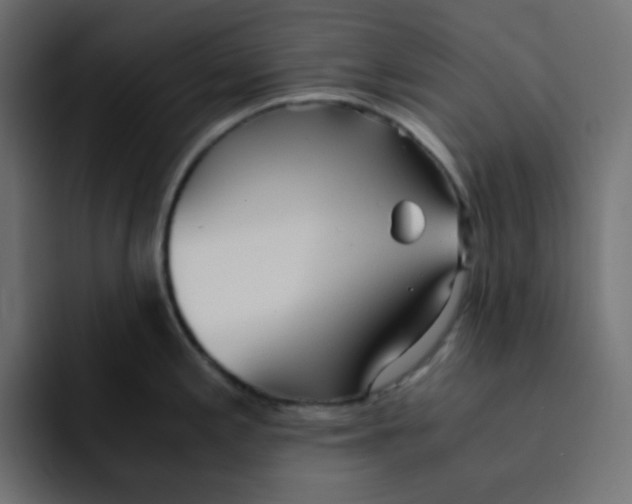 X0000092021197200710041038