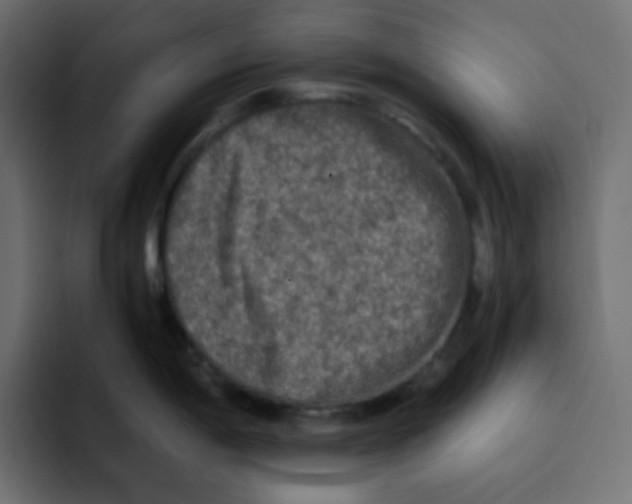 X0000092021198200710041038