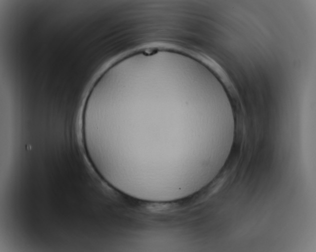 X0000092021199200710041038