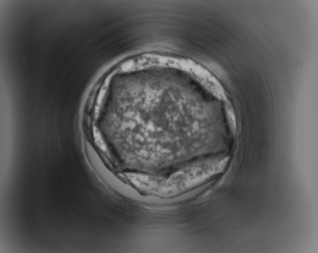 X0000092021200200710041038