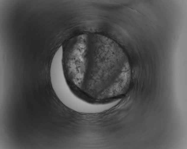 X0000092021202200710041037