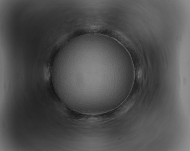 X0000092021204200710041037