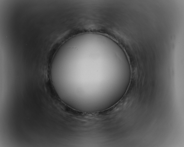 X0000092021205200710041037