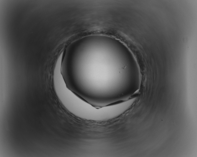 X0000092021206200710041037