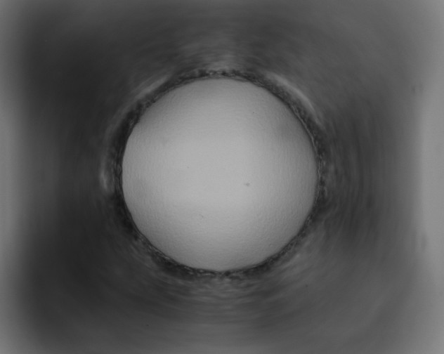 X0000092021207200710041037